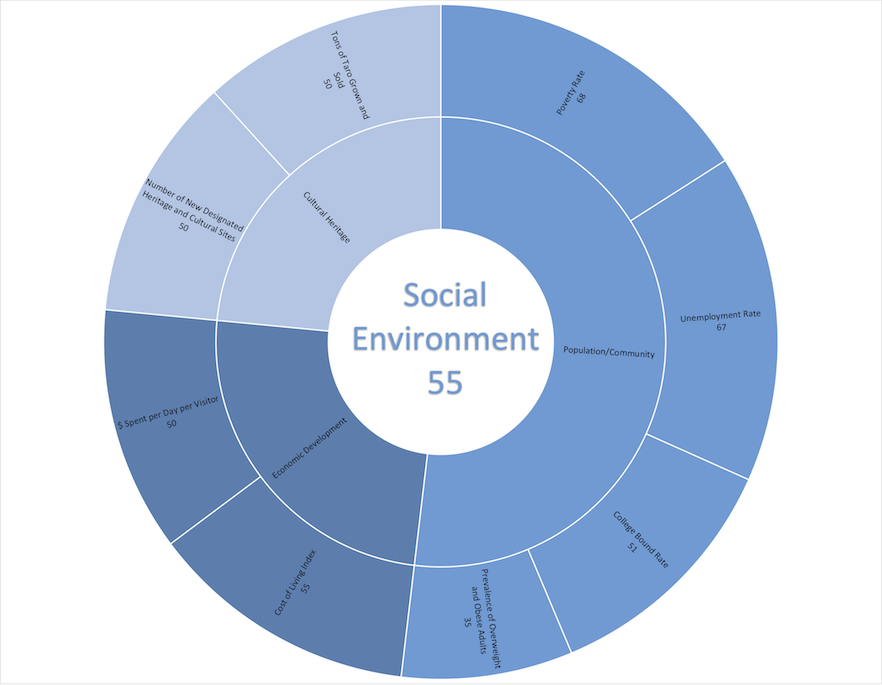 social-environment-indicators-maui-quality-of-life